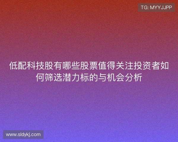 低配科技股有哪些股票值得关注投资者如何筛选潜力标的与机会分析